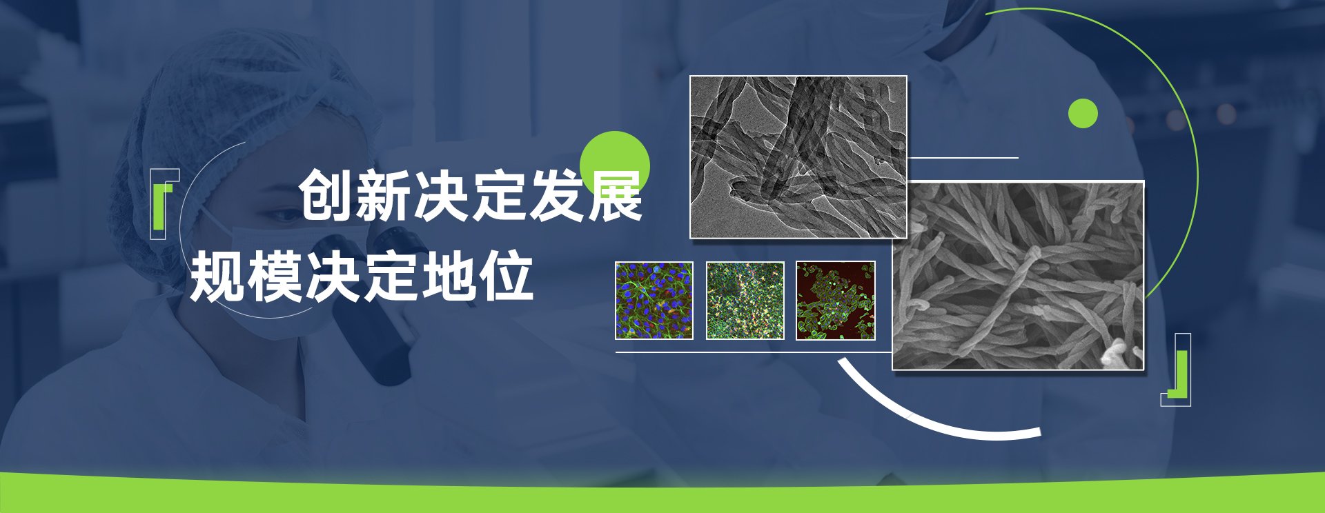 买球入口app最新版下载