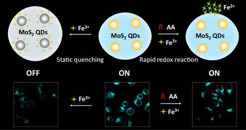 Plasmonic physical