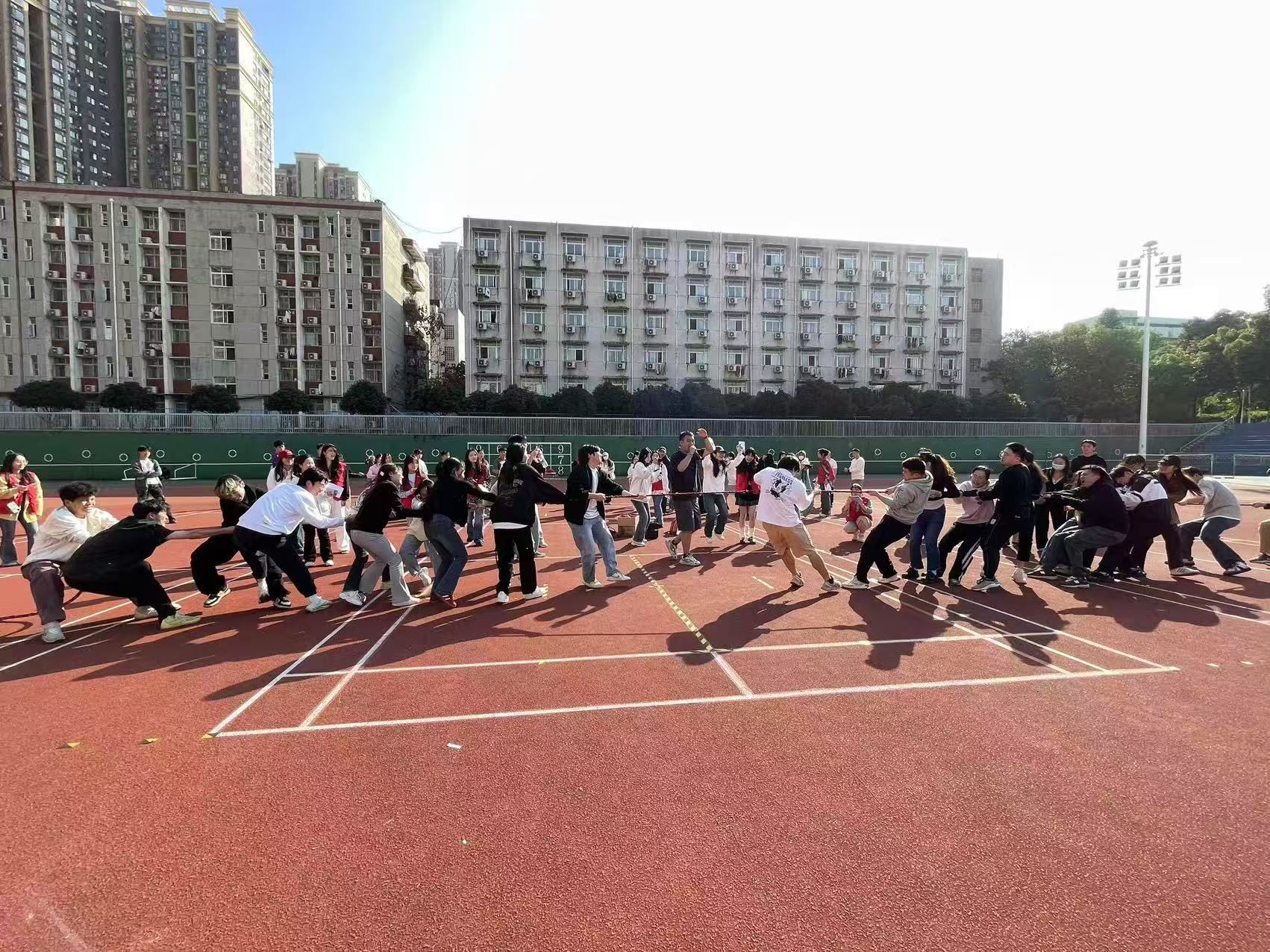 发布日期